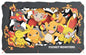 Paper Theater: Pokemon - Type: Fire